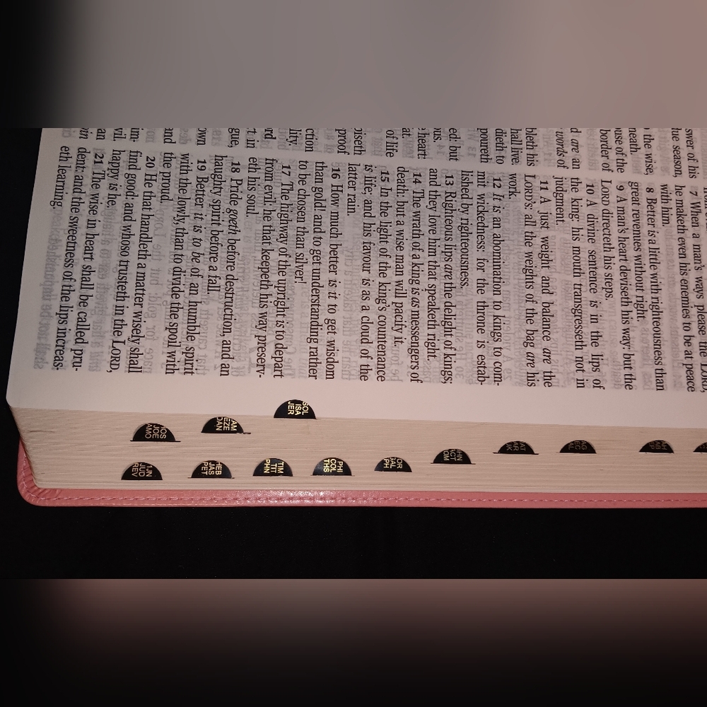 Pink Holy Bible King James Version - Picture 3 of 4